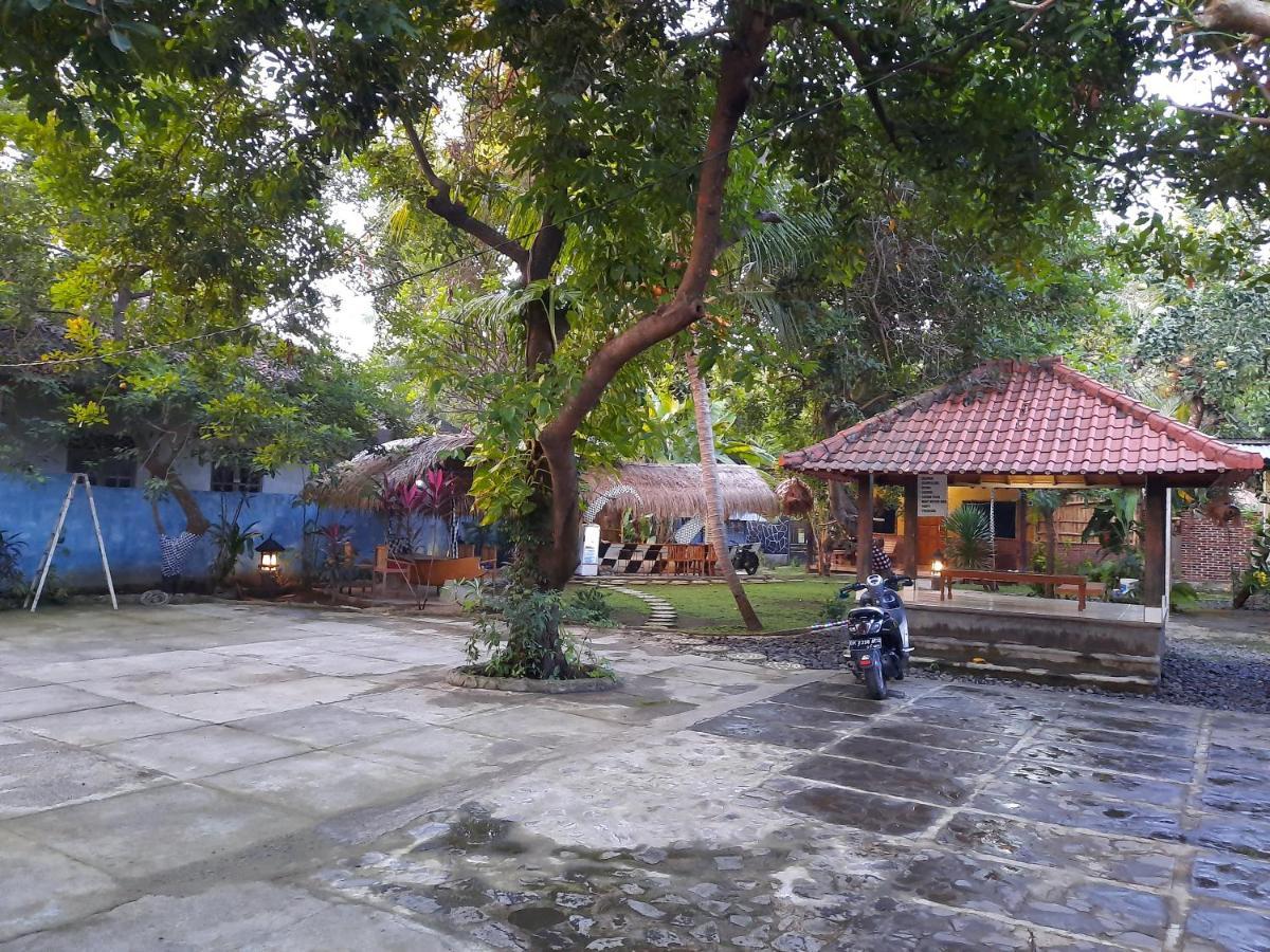 Penginapan Sedap Malam Lovina Exterior foto