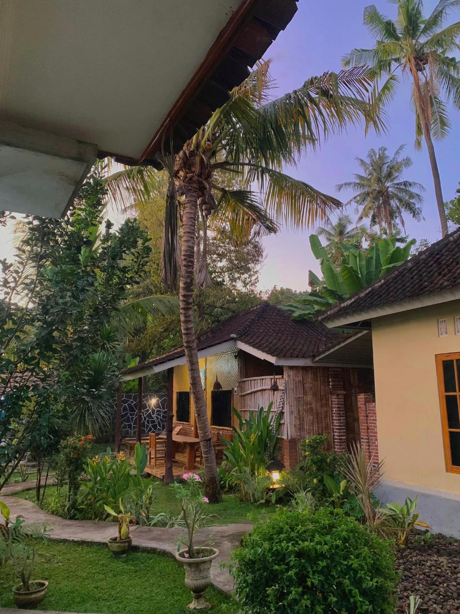 Penginapan Sedap Malam Lovina Exterior foto