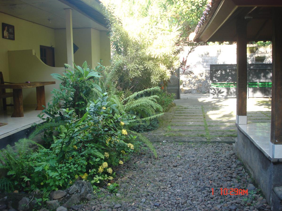 Penginapan Sedap Malam Lovina Exterior foto