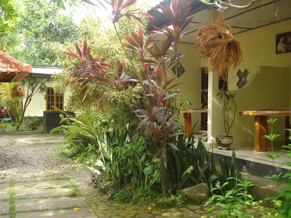 Penginapan Sedap Malam Lovina Exterior foto